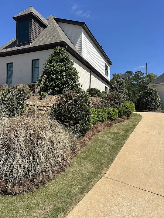 Ornamental grasses and trimmed beds along a driveway