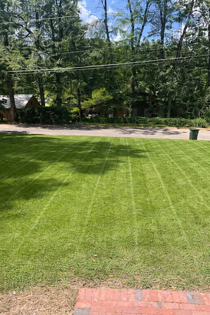 Crisply striped front lawn after mowing